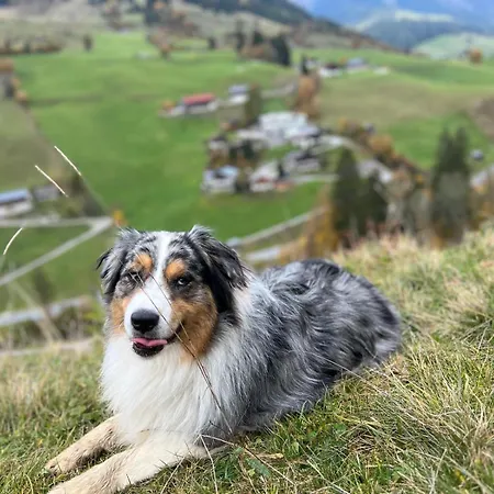 Pallegg بيت للعطل *